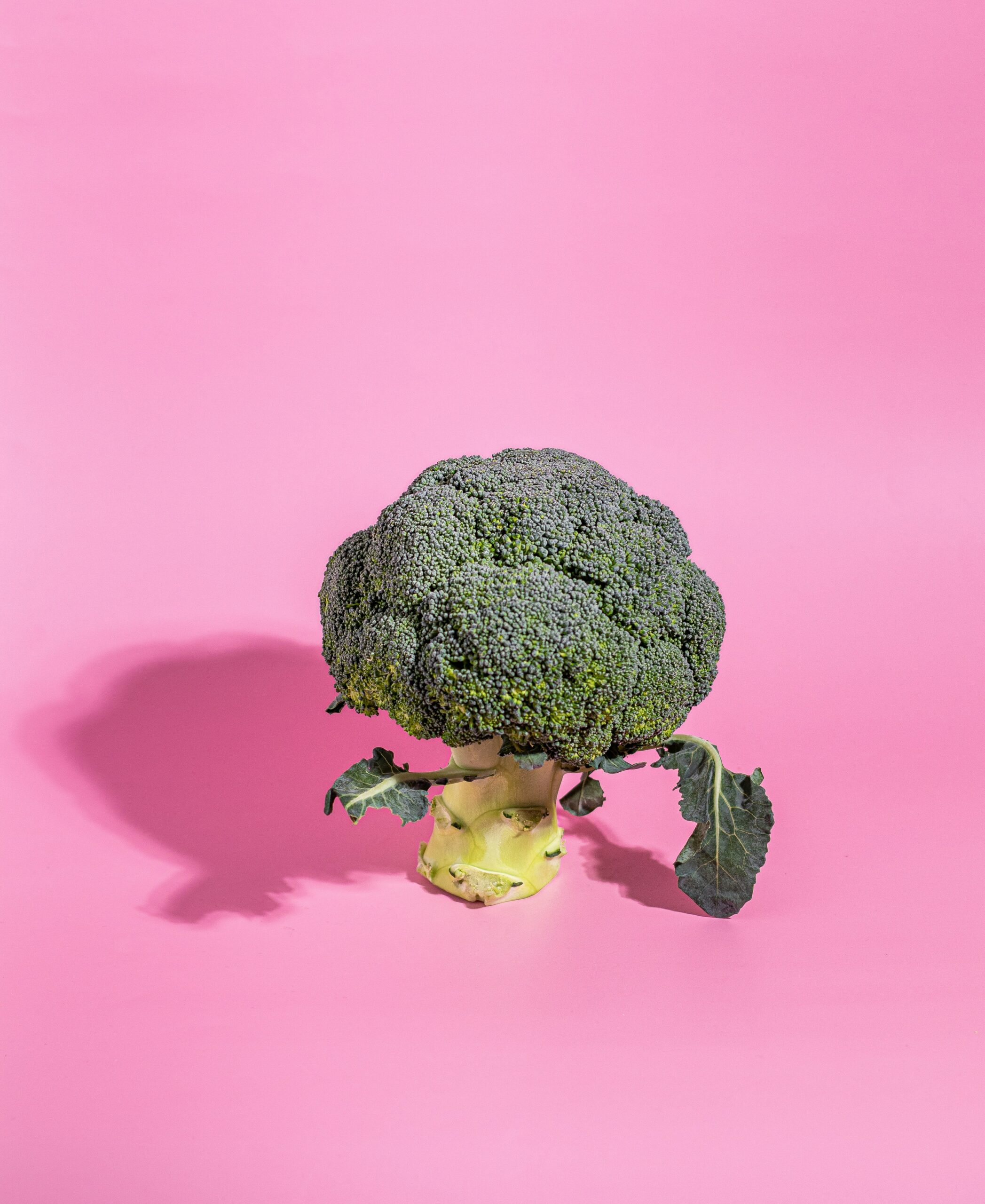 Bye bye bitterness afbeelding