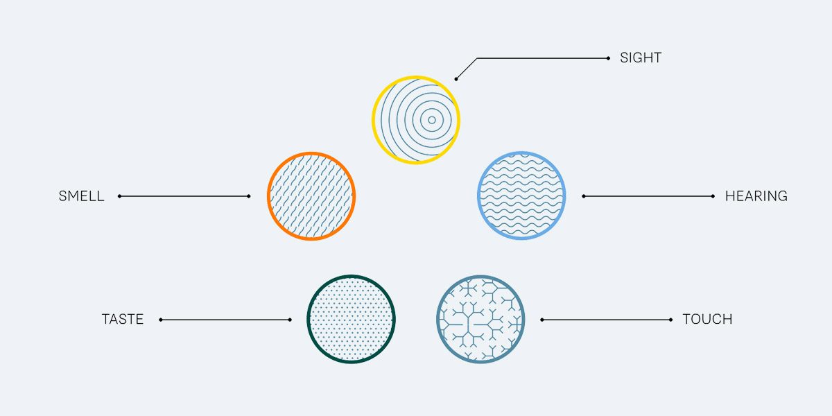 Essensor lanceert nieuwe merkidentiteit afbeelding