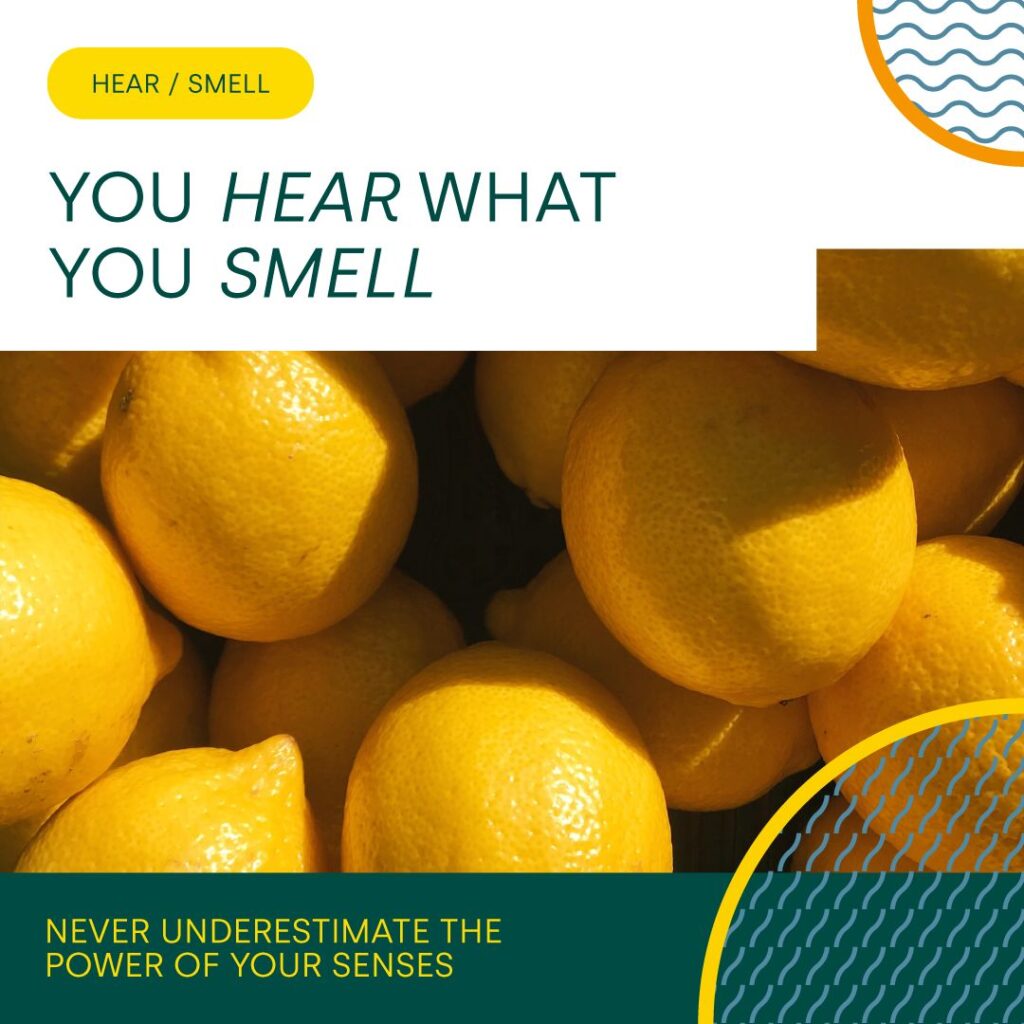 Sensorische tip #2: Je hoort wat je ruikt